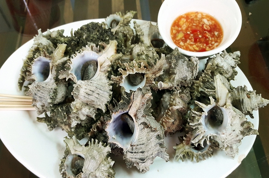 
Ốc ở “phố ốc” Bùi Thị Xuân thường tươi ngon và có giá cả hợp lý. Ảnh: Ốc sư tử nướng.

 
