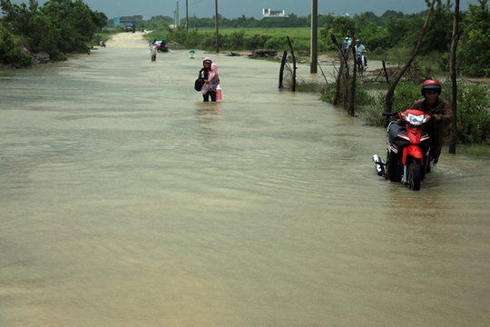 
Nhiều tuyến đường liên thôn của huyện Thuận Nam bị ngập sâu, giao thông qua khu vực rất khó khăn
