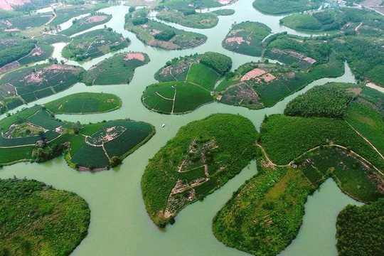 Thanh Chương là một trong những huyện có diện tích chè lớn nhất Nghệ An. Và bàn tay của những người trồng chè dường như đã vô tình tạo nên một cảnh sắc thiên nhiên làm xiêu lòng khách thập phương. Ảnh: Sách Nguyễn