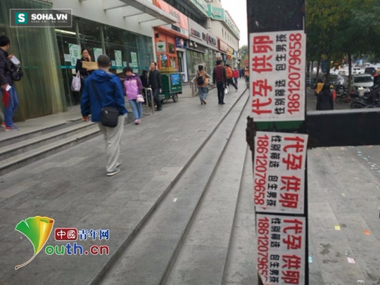 
Thông tin quảng cáo bán trứng, tặng trứng, đẻ thuê... xuất hiện đầy trên đường phố Bắc Kinh.
