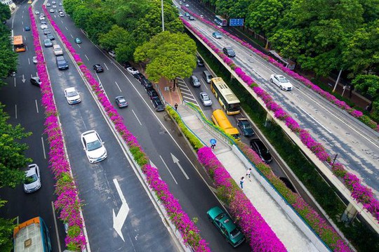 
 

Quảng Châu cũng là điểm đến khá quen thuộc với dân buôn Việt Nam. Rất nhiều người Việt thường xuyên qua lại thành phố này để lấy hàng, kết hợp du lịch.

 


 

Ngoài các trung tâm thương mại, các khu chợ khổng lồ, đến Quảng Châu, bạn còn có nhiều sự lựa chọn khác để tham quan, khám phá thành phố giàu bản sắc này.

 


 

Từ Việt Nam, bạn có thể đi ôtô sang Nam Ninh hoặc đi tàu liên vận từ ga Gia Lâm; sau đó bắt tàu cao tốc từ Nam Ninh tới Quảng Châu chỉ sau 4 giờ.

 


 

Tàu cao tốc có thiết kế hiện đại, nhiều sự lựa chọn cho du khách như khoang thương gia, khoang hạng 1 và hạng 2, với giá từ 170 tệ (khoảng 560.000 đồng một chiều).

 

 

 



