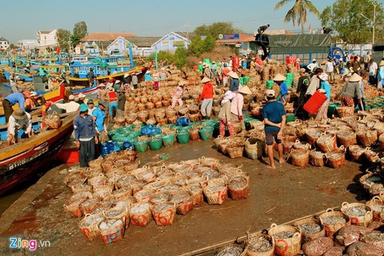 Tuy nhiên, thời kỳ đầu, mắm được muối trong lu, khạp sành. Cá cơm, cá nục tươi sau khi đánh bắt về sẽ được đưa thằng từ ghe đến xưởng làm mắm. Cá muối mắm phải tươi nguyên.