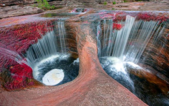 Sông Cano Cristales còn được biết đến với tên Sông ngũ sắc.
