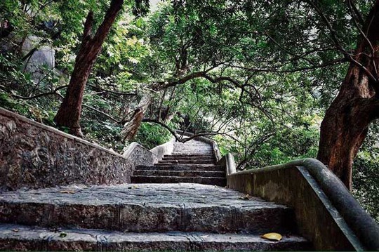 
Bậc thang đá lên động chùa được bao phủ bởi cây xanh, quanh năm mát mẻ.
