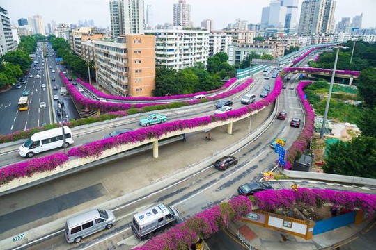 
 

Từ Việt Nam, bạn có thể đi ôtô sang Nam Ninh hoặc đi tàu liên vận từ ga Gia Lâm; sau đó bắt tàu cao tốc từ Nam Ninh tới Quảng Châu chỉ sau 4 giờ.

 


 

Tàu cao tốc có thiết kế hiện đại, nhiều sự lựa chọn cho du khách như khoang thương gia, khoang hạng 1 và hạng 2, với giá từ 170 tệ (khoảng 560.000 đồng một chiều).

 

 

 

