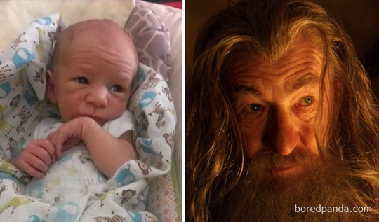 
 

Biểu cảm siêu đáng yêu của “em bé phù thủy” Gandalf và huyền thoại điện ảnh Lan McKellan trong phim chúa tể chiếc nhẫn thật giống nhau làm sao.
