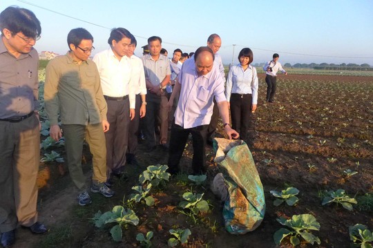 
Thủ tướng và đoàn công tác thị sát xã trồng rau sạch Văn Đức, huyện Gia Lâm, TP Hà Nội
