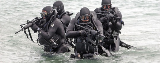 Mỹ sẽ có nữ đặc nhiệm SEAL đầu tiên? - Ảnh 1.