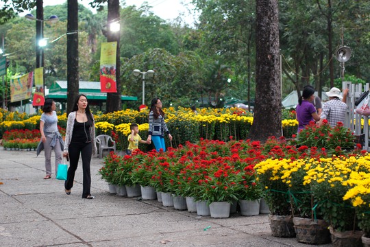 Tại chợ hoa tết ở Công viên 23 tháng 9 đã có khá đông người dân đã đến mua sắm