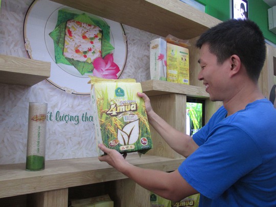 Công ty TNHH Cỏ May (Đồng Tháp) được đối tác nước ngoài hỏi mua gạo nhưng từ chối vì không có giấy phép xuất khẩu. Trong ảnh: Ra mắt cửa hàng gạo Cỏ May tại TP HCM