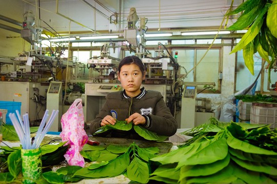 Khu chợ bán đồ Made in China lớn nhất thế giới - Ảnh 11.