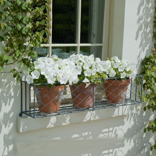 
Những chậu hoa màu trắng giản dị cũng có thể giúp cho ngôi nhà của bạn đẹp hơn, ngọt ngào hơn.
