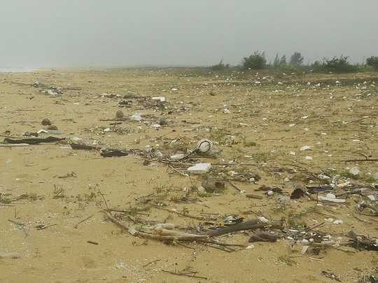 
Dầu vón, rác thải ngập bờ biển
