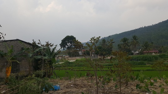 Dãy núi Ngang kéo dài mấy km trồng rừng phòng hộ sẽ có thể bị phá để xây công viên nghĩa trang
