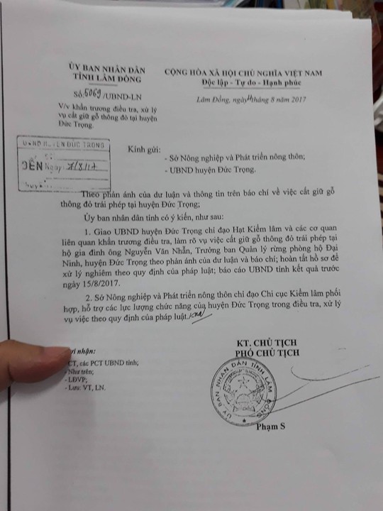 Chỉ đạo làm rõ vụ gỗ thông đỏ trong nhà trưởng ban quản lý rừng - Ảnh 1. Chỉ đạo làm rõ vụ gỗ thông đỏ trong nhà trưởng ban quản lý rừng - Ảnh 1.
