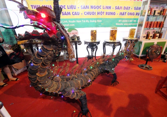 Bán được củ sâm giá 120 triệu đồng tại lễ hội sâm Ngọc Linh - Ảnh 13.