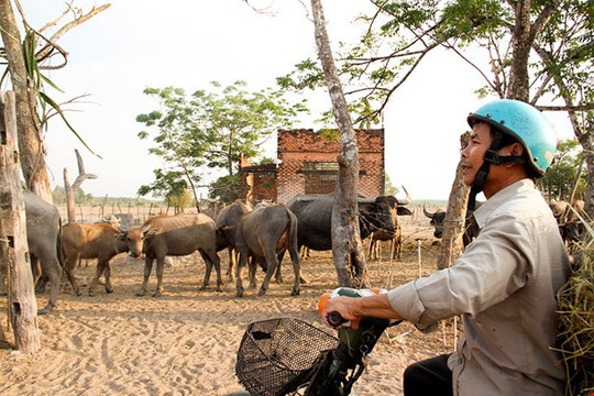 Giá đất ở Củ Chi đã không tạo nên cơn sốt như dự đoán. Ảnh: V.D
