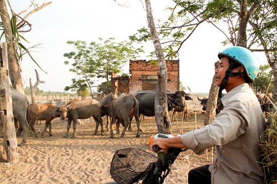 
Giá đất ở Củ Chi đã không tạo nên cơn sốt như dự đoán. Ảnh: V.D
