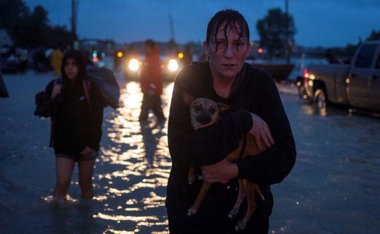 Mỹ: “Đảo kiến lửa” xuất hiện trong bão Harvey - Ảnh 5.