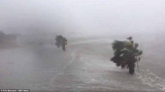 Cận cảnh đổ nát tại bang Texas sau siêu bão Harvey - Ảnh 5.