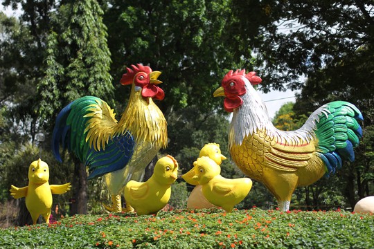 
Trong khuôn viên công viên Tao Đàn là mô hình đàn gà - linh vật của năm nay - quây quần bên nhau thể hiện sự sung túc, ấm cúng - biểu tượng của xuân Đinh Dậu 2017
