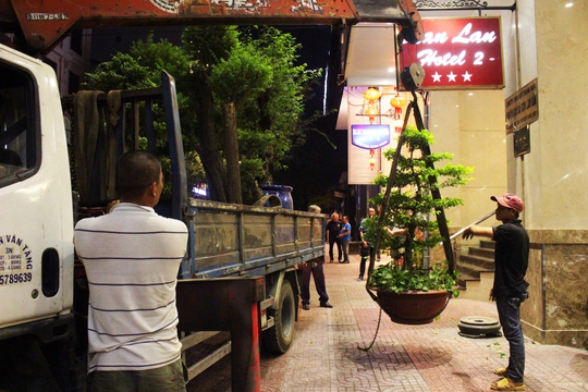 
Trên đường Thủ Khoa Huân, phát hiện 6 chậu cây cảnh lớn có giá trị đặt lấn chiếm vỉa hè trước 3 khách sạn 3 sao: A & Em, Blue Diamond, Lan Lan,... ông Hải chỉ đạo đưa về trự sở cơ quan chức năng.
