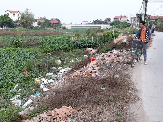 Khu vực ven sông thôn Đông Tảo Đông có nhiều bao đựng gà đang phân hủy, bốc mùi hôi thối
