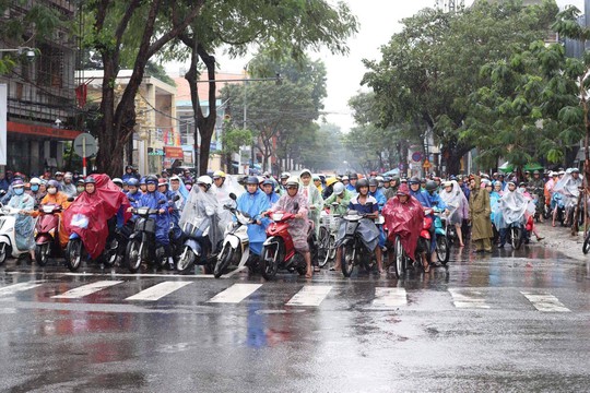 APEC 2017: Người dân Đà Nẵng đội mưa xem quái thú - Ảnh 12.