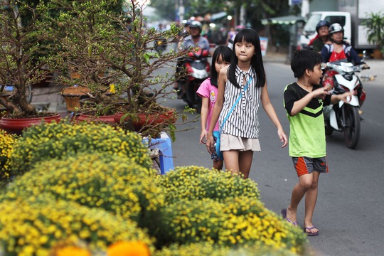 Tết đã đến rất gần