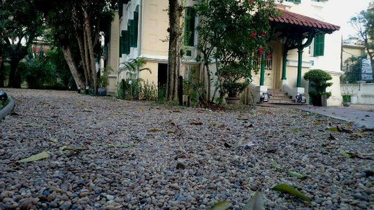 Khu vườn bí mật trong Đại sứ quán Pháp ở Hà Nội - Ảnh 15.