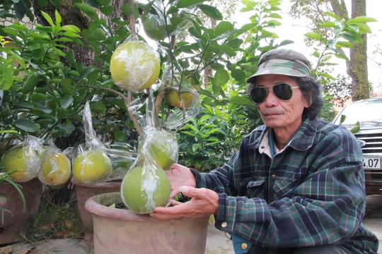 
Ông Tâm bên những chậu kiểng bonsai độc, lạ tại chợ kiểng Tết ở đường Quang Trung, TP Đà Lạt.
