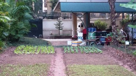 Khu vườn bí mật trong Đại sứ quán Pháp ở Hà Nội - Ảnh 10.