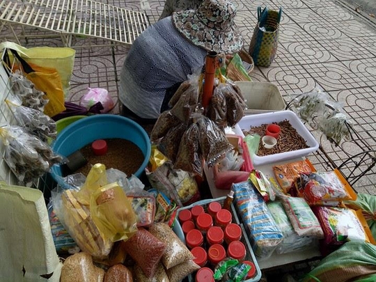 Nét quê độc đáo của khu chợ chuyên bán sâu bọ ở Sài Gòn - Ảnh 3.