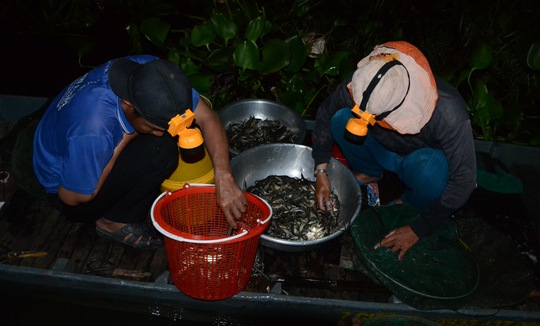 Phát thèm cá đồng ở chợ Âm phủ - Ảnh 5.