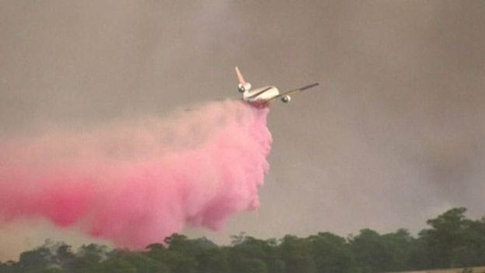 Máy bay dập lửa ở bang New South Wales - Úc Ảnh: REUTERS