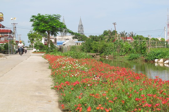 Ngỡ ngàng những con đường hoa rực rỡ làng quê miền Bắc - Ảnh 9. Ngỡ ngàng những con đường hoa rực rỡ làng quê miền Bắc - Ảnh 9.