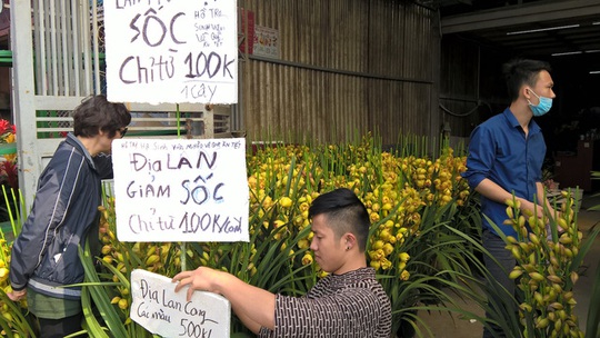 Địa lan Trung Quốc nhập ồ ạt tại Hà Nội, giá bán siêu rẻ chỉ còn 100.000 đồng/cành, rẻ nhất trên thị trường