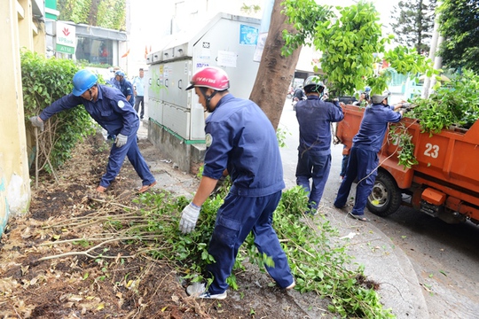 
Tiếp đó, bồn cây cảnh trước Trung tâm Bồi dưỡng Chính trị quận 1 cũng bị tháo dỡ để trả lại sự thông thoáng cho vỉa hè
