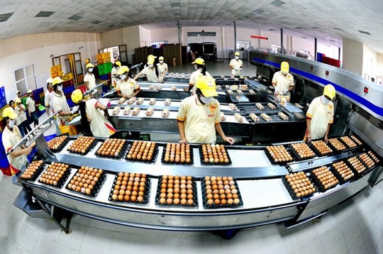 Kinh doanh bạc lẻ nhưng từ những năm 2000, nữ nông dân Ba Huân đã đánh liệu nhập dây chuyền xử lý trứng hàng chục tỉ đồng về hỗ trợ sản xuất.