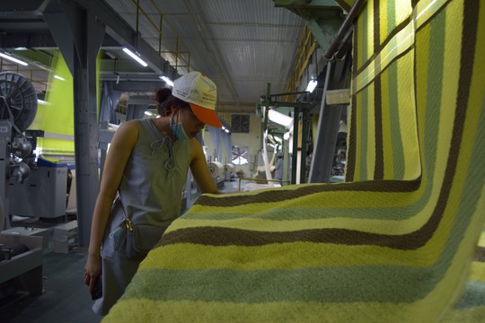 Phong Phú đưa ra thị trường khăn bông hữu cơ organic - Ảnh 1.