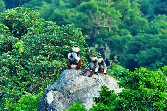 
Phần thưởng cho hành động dũng cảm chinh phục đỉnh cao. Không phải là một nữ hoàng chờ đợi mà những hai! (Tác giả: Hoàng Hà)
