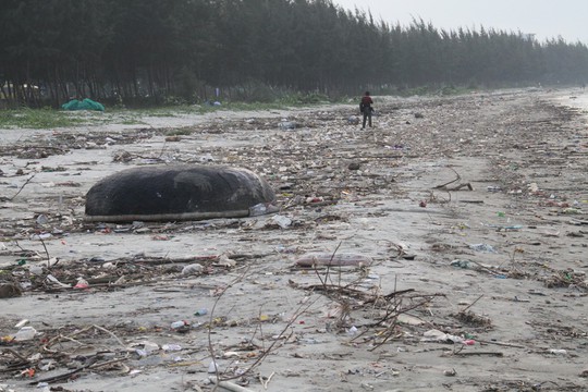 Hơn 1 km bờ biển Đà Nẵng tràn ngập hàng trăm tấn rác - Ảnh 4.
