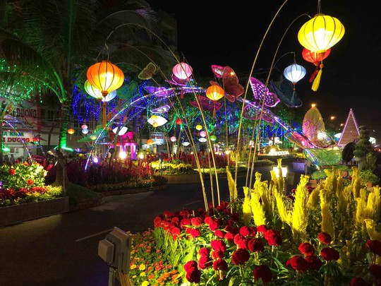Ngất ngây trước vẻ đẹp của đường hoa Tây Đô 