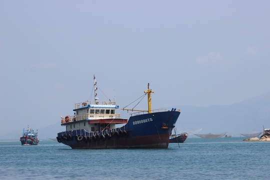 Thêm 4 thuyền viên trên tàu cá Bình Định gặp nguy giữa bão số 5 - Ảnh 1.