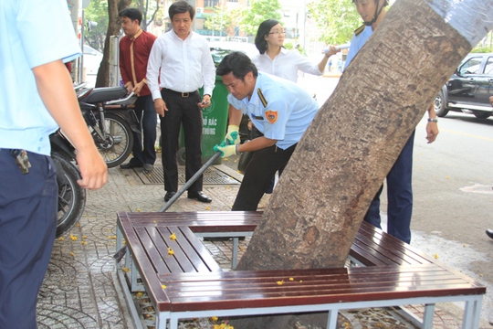 
Ông Đoàn Ngọc Hải, Phó Chủ tịch UBND quận 1, chỉ đạo lực lượng chức năng tháo dỡ một chiếc ghế đóng khung quanh gốc cây
