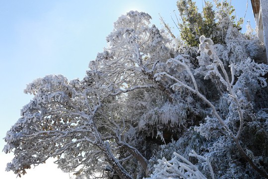 Nhiệt độ xuống -7 độ C, băng tuyết phủ trắng đỉnh Fansipan - Ảnh 29.