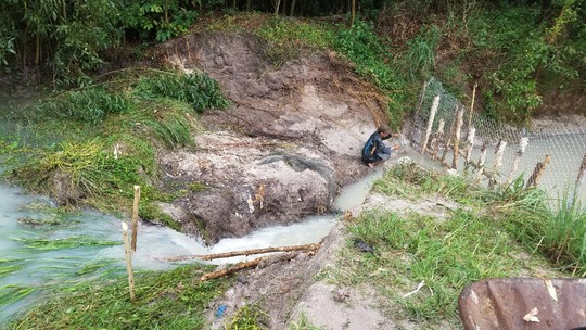 Gần 100 tấn cá lóc bơi ra suối, dân mất hơn 7 tỉ - Ảnh 1.