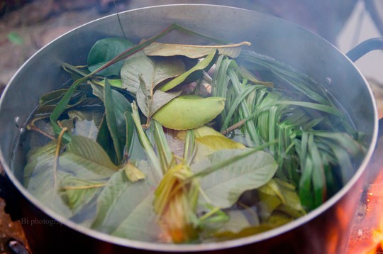 
Mùi lá sả, mùi của chanh, bưởi, ổi quyện lấy nhau thơm nồng
