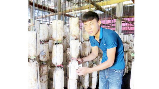 Chàng trai 9x làm giàu từ nấm - Ảnh 1.