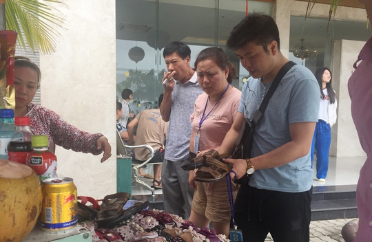 Người Trung Quốc hướng dẫn du lịch trái phép, hướng dẫn viên tiếng Hoa kêu cứu - Ảnh 1.